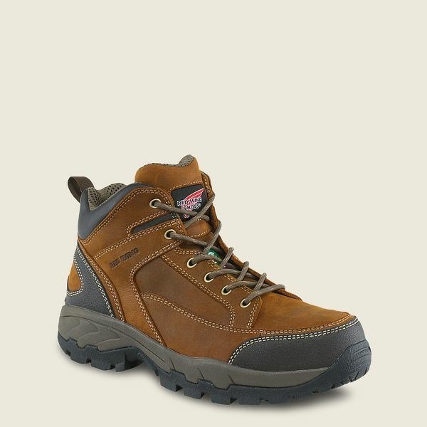Redwing Truhiker 3541